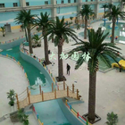 Palmier artificiel de grande usine extérieure antifading Anti-UV en gros de décoration de piscine