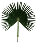 Préservé laisse les palmiers artificiels, preuve UV faux palmier de 10 pieds