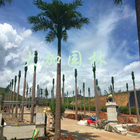 Matériaux ignifuges de fausse de palmier d'OEM 6m protection UV d'usines