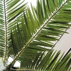 Anti palmiers grands de effacement de tissu en soie artificiel des palmiers 10m faux