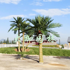 Barhi laisse à 4m les palmiers artificiels extérieurs pour la piscine