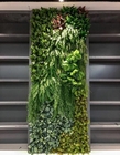 10 ans de contexte vert artificiel de mur, panneaux de buis de Faux de 100*100cm