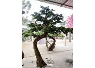 arbre d'intérieur artificiel de Podocarpus de 1m, aucun Cedar Bonsai Tree artificiel néfaste