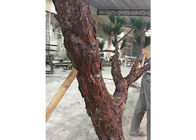 Les pins artificiels de fibre de verre en plastique de Dajia verdissent toute la saison